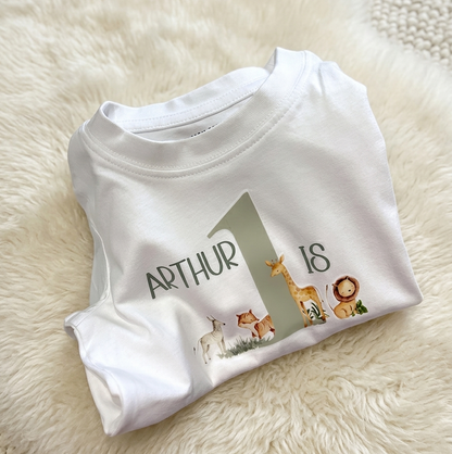 Personalised Children’s Birthday T-Shirt - Safari Animals
