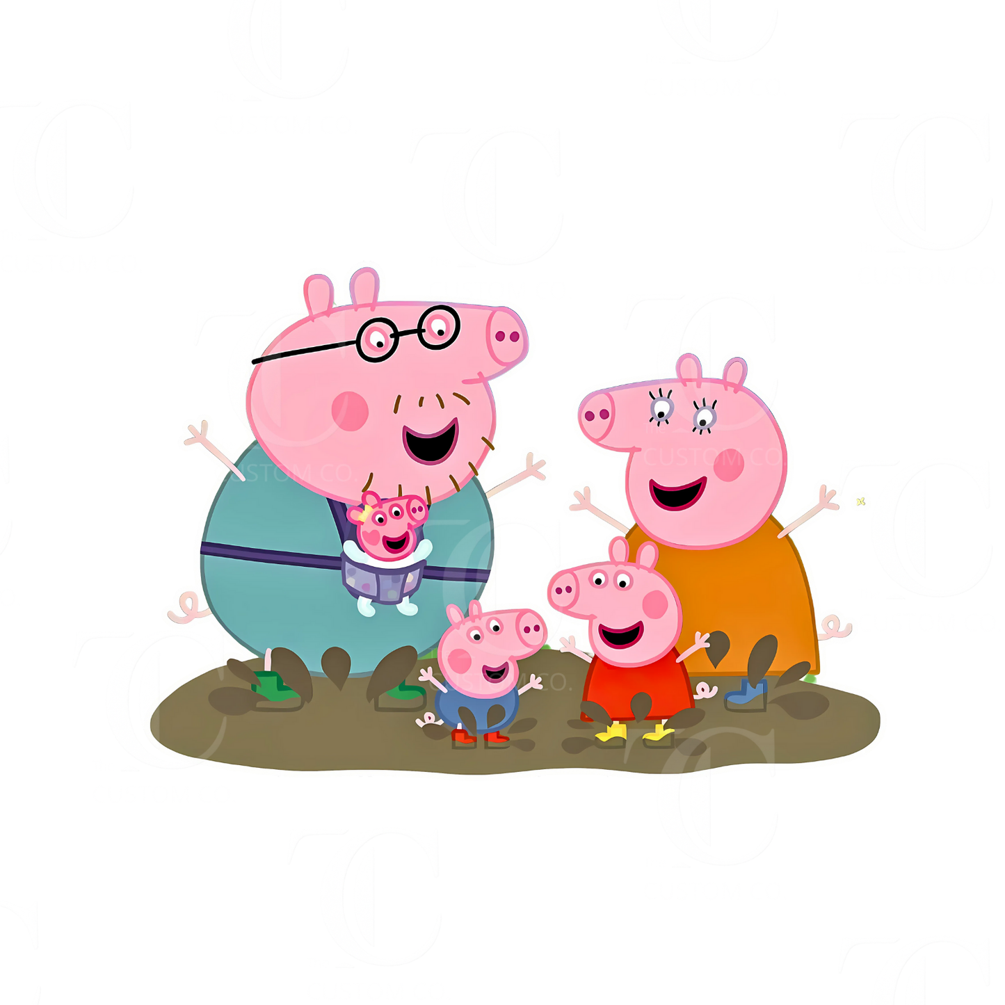 Boys Birthday Designs -  Printed/ Digital