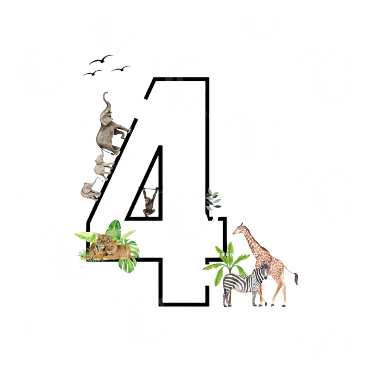 Boys Birthday Designs -  Printed/ Digital