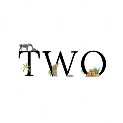 Boys Birthday Designs -  Printed/ Digital