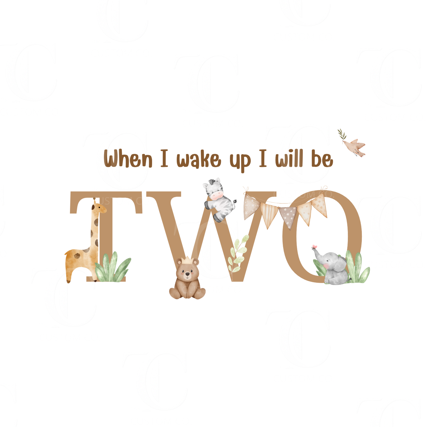 Boys Birthday Designs -  Printed/ Digital