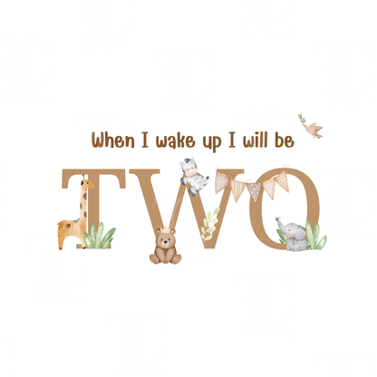 Boys Birthday Designs -  Printed/ Digital