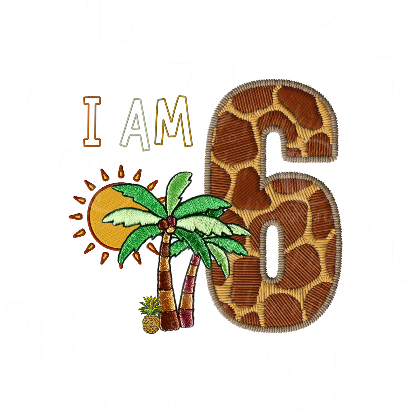 Boys Birthday Designs -  Printed/ Digital