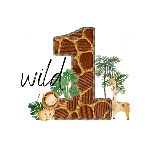 Boys Birthday Designs -  Printed/ Digital